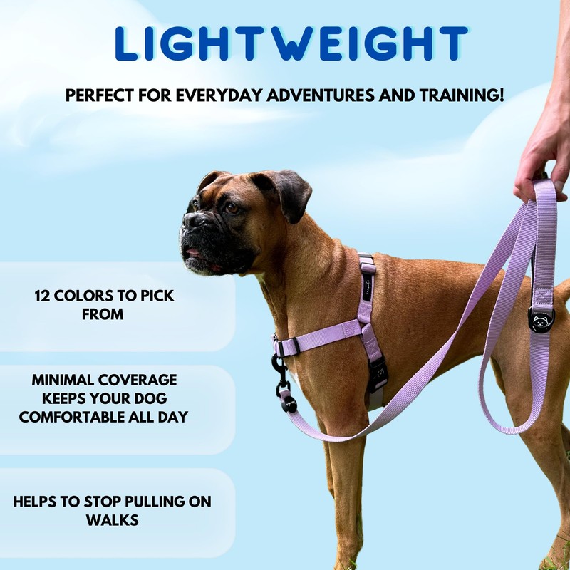 ShawnCo Dream Walk No-Pull Dog Harness- Adjustable, Comfortable, Easy to