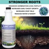 GGO Plant Armour Natural Plant Disease Control & Plant Growth