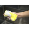 Aisen KS301 Foam Sponge Soft
