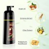 Champú Para Teñir El Cabello 3 En 1 Argán Marrón