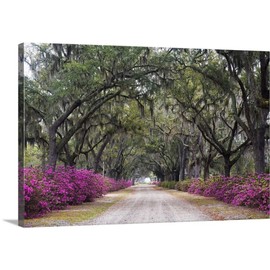 Georgia, Savannah. Bonaventure Cemetery with Azaleas Blooming in Savannah Georgia Canvas Wall Art.
