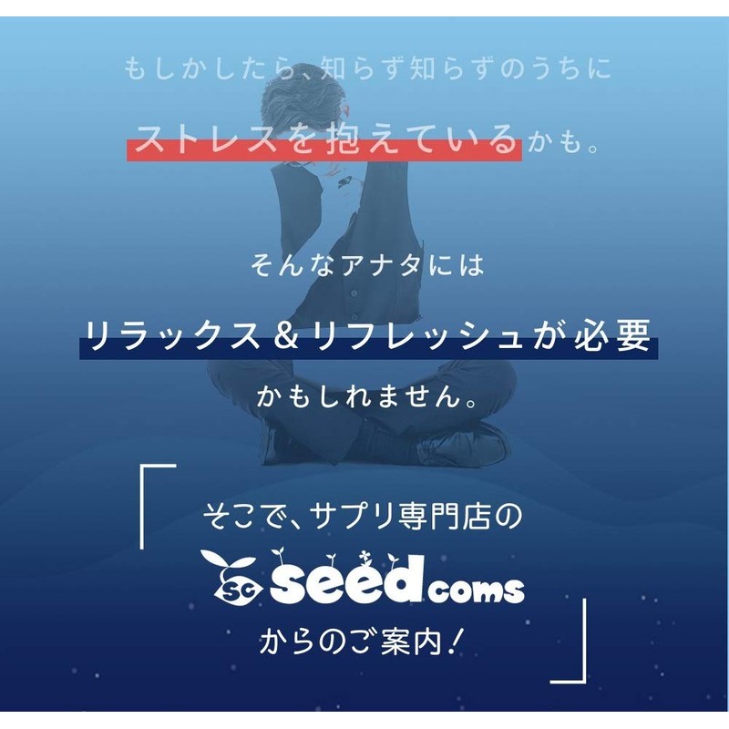 シードコムス GABA ギャバ サプリメント 約3ヶ月分 90粒 ジョーンズワート クワンソウ 亜麻仁油 発酵紅参