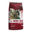 Waggin' Train Purina | Wind and Rain Storm All Season