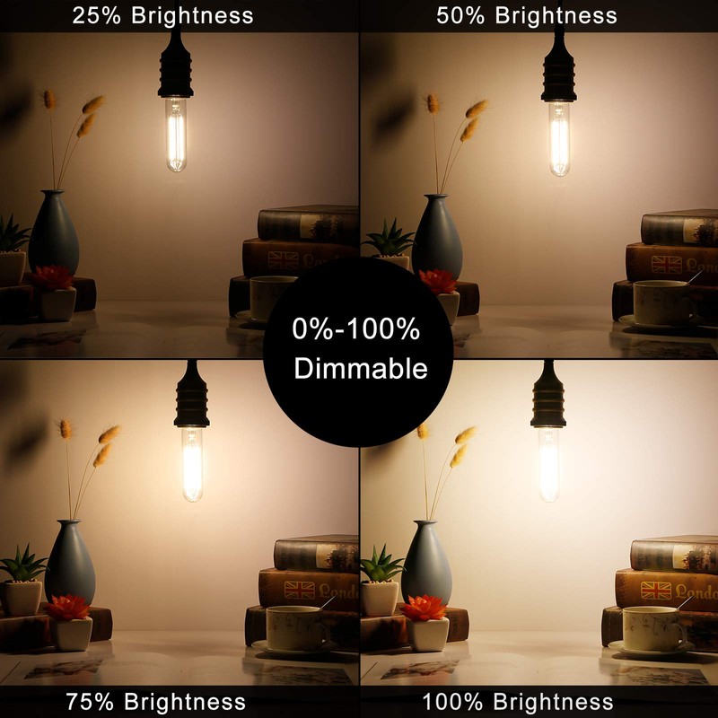 LiteHistory Dimmable E26 Edison Bulb 6W Equal 60 watt Light
