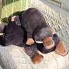 Liraziva Platypus Plush Platypus Stuffed Animal,Soft Platypus Toys Cute Platypus