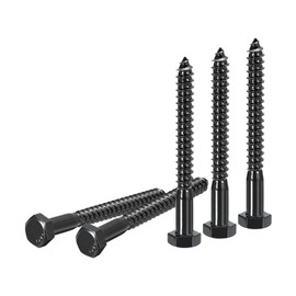 DTGN 5/16" x 3" Hex Lag Bolts - 10 Pack - for Woodworking, Furniture - 304 Stainless Steel Partial Thread Hexagon Head Lag Screws for Wood - Black