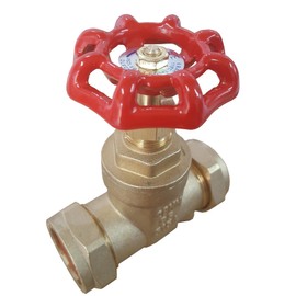 Primaflow 10020166 28mm Gate Valve