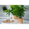 KORAD Flower Pot with Stand - Pattern 047 Bamboo -