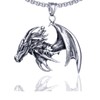 Xusamss Punk Titanium Steel Wing Dragon Pendant Necklace with 24inches