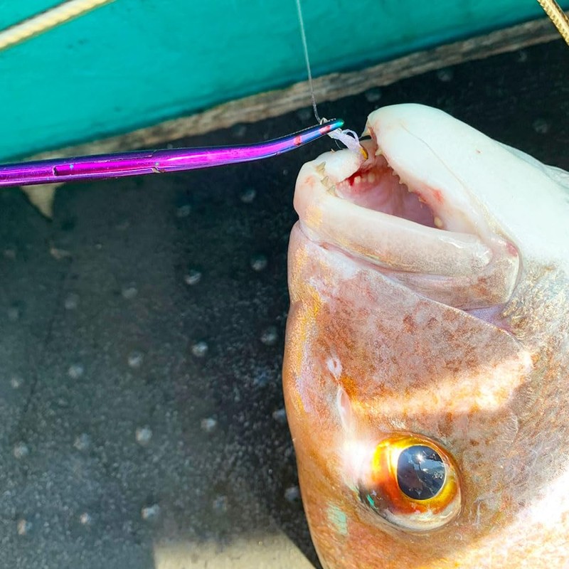 おり釣具 フィッシングプライヤー 針外し レインボーフォーセップ 18cm (ori-785068)