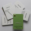 Farbpass Business Spring (Warm Spring) as Fan with 34 Type-Specific