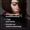 Syoss Root Retoucher Dark Brown Level 1 (3 x 60ml)