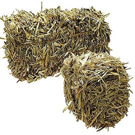 Green Vista Barley Straw Bales for Farm Pond Water Treatment - 8 to 10 Pounds - Treats 1/4 Acre Farm or Retention Pond for 6 Months! - Supports Water Balance - Safe for Koi, Fish and Plants