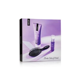 Biotop Professional 19 Pro Silver Gift Set for Women & Men - Blonde Brightening Hair Serum & Purple Hair Mask - Tones Brass, Hydrates & Brightens Blonde, Silver & Gray Strands (2 Count)