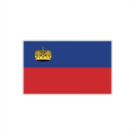 Womaha 30 Sheets Liechtenstein Flag Temporary Tattoos for Kids Adults Fans Fake Face Tattoo Stickers