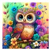 Owl Diamond Painting Kits for Adults, DIY Owl Diamond Art Kits for Adults, Gem Art Kits for Gifts and Home Decor 14x14Inch