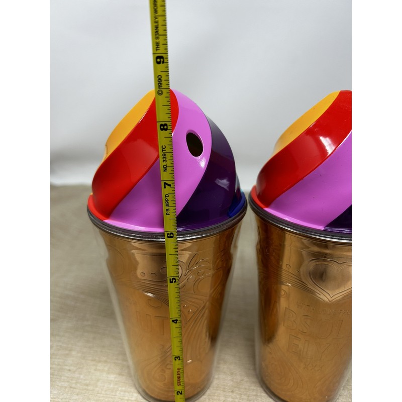 Absolut Elyx Rainbow Drinking Cup Tumbler Reusable Barware Copper with