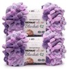 Bernat Alize Blanket Gray Plum Yarn - 2 Pack of
