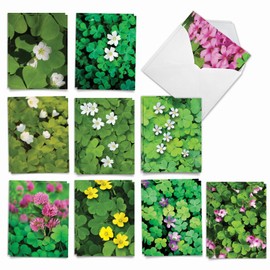 The Best Card Company 20 Assorted St. Patrick's Day Notecards Boxed Set 4 x 5.12 Inch with Envelopes (10 Designs, 2 Each) Blooming Clovers AM10419SPG-B2x10