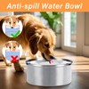 Luziyun Water Bowl for Dogs Stainless Steel Dog Drinking Bowl