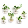 Mkono Wall Hanging Glass Terrariums Planter Oblate Flower Vase for