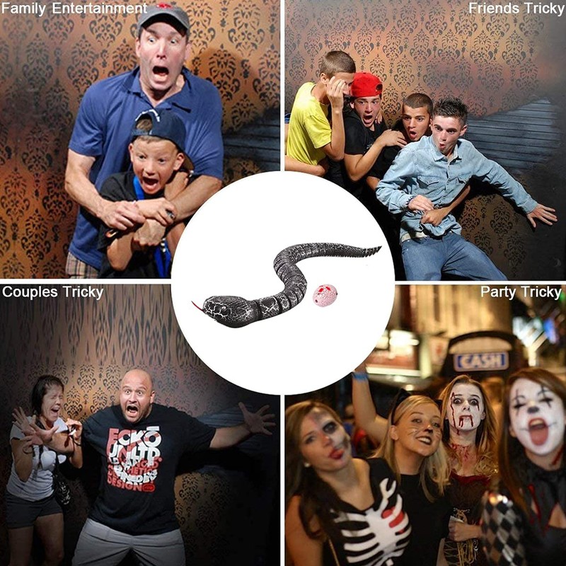 RC Snake Toy Retractable Tongue Swinging Tail Sliding Motion USB