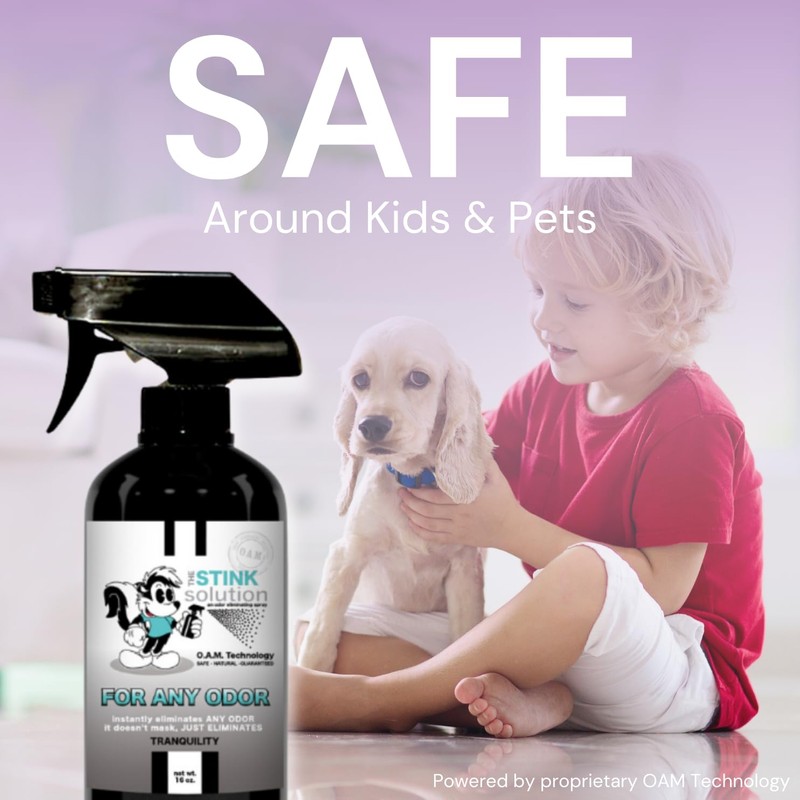 The Stink Solution Odor Eliminator for Shoes, Sneakers, Cleats, &