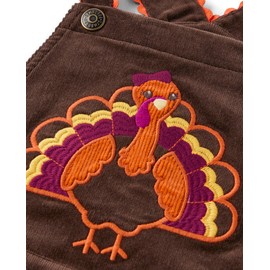 Gymboree,and Toddler Embroidered Sleeveless Skirtall Jumpers,Turkey Brown,8