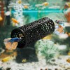 Betta Fish Tunnel with Suction Cups - Small Hole Hollow