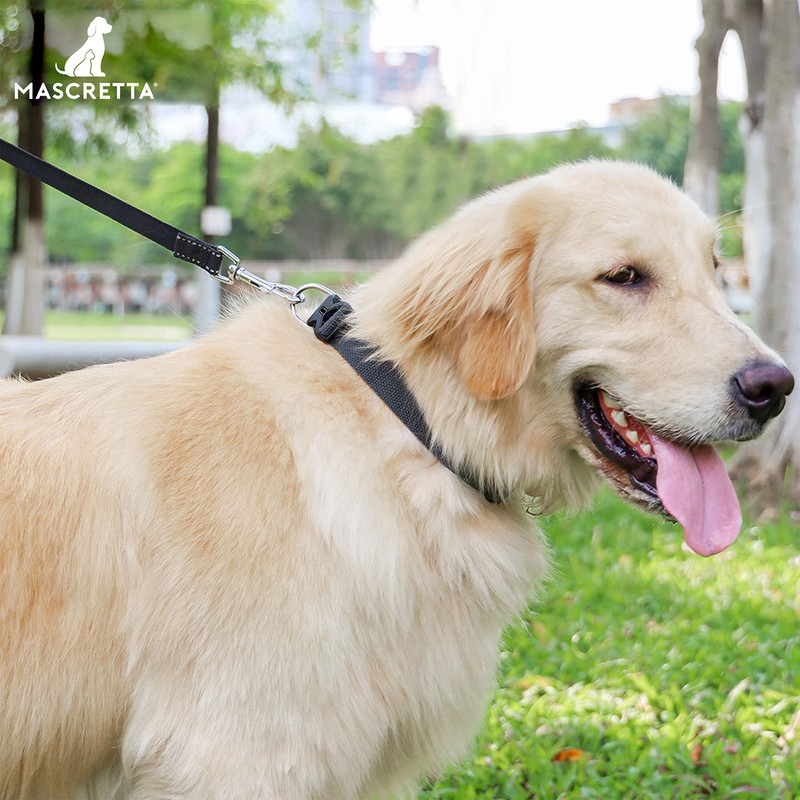 MASCRETTA Collar para Perro con diseño Ajustable de Algodón Compatible