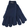 Rjm Ladies Knitted Thinsulate Lined Gloves Blue