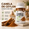Kit Hábitos Saludables Bioherb Fibra, Metabolismo, Rutina