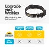 Dawn Dog Collar Small - Reflective, Soft & Padded Breathable