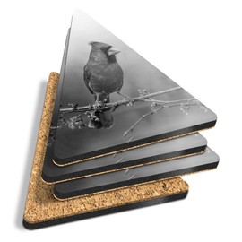 4 x Triangle Coasters - BW - Red Northern Cardinal Bird Cork Backed MDF Glossy Tea Coffee Accessory #35358