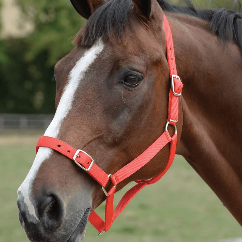 312-0123 Roma Headcollar/Leadrope Set (Red/Navy, Cob)