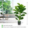 SlickBlue 2 Pack Artificial Fiddle Leaf Fig Tree Lifelike Indoor
