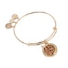 Alex and Ani Unicorn Charm Bangle