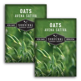 Survival Garden Seeds - Oat Seed for Planting - 2 Packs with Instructions to Plant & Grow Avena Sativa in Your Home Vegetable or Herb Garden - Medicinal Herb & Cover Crop - Non-GMO Heirloom Variety