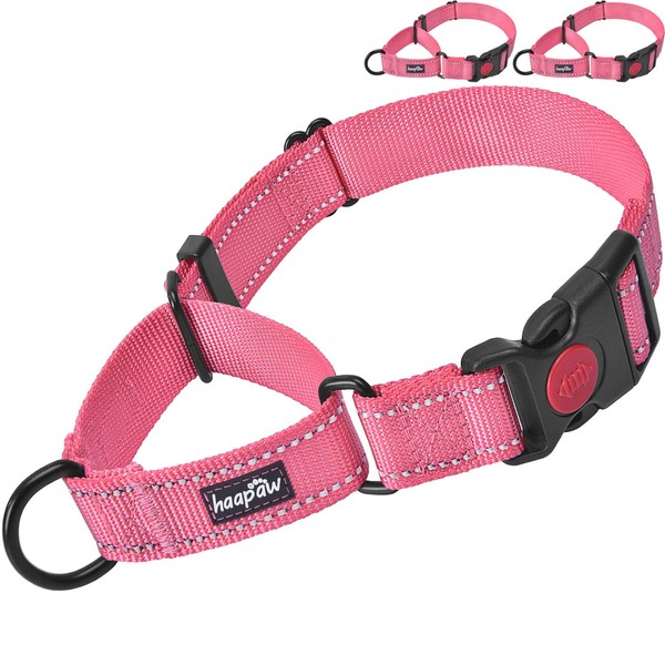 haapaw 2 Packs Martingale Dog Collar with Quick Release Buckle