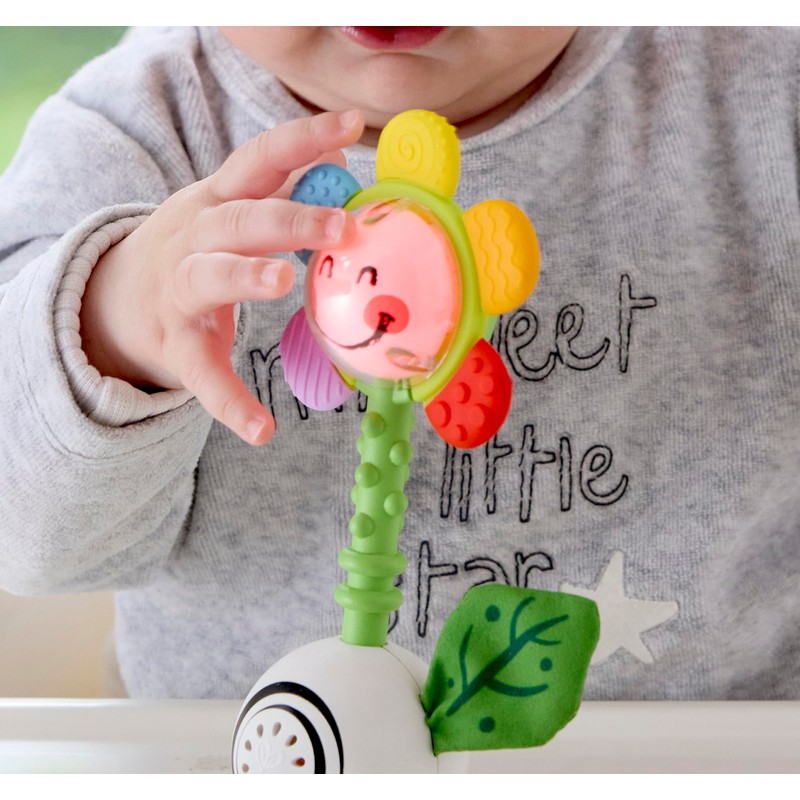 Hape Musical Flower Rattle | Multisensory Toy for Babies |