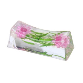 N&N Find Japan Japanese Chopstick Rest/Spoon Fork Knife Holder with Real Flower in Acrylic (Asparagus Pink)