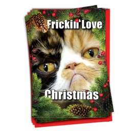 NobleWorks - 12 Funny Cat Christmas Cards with Envelopes - Pet Animal Holiday Humor, Boxed Notecard Set (1 Design, 12 Cards) - Fricking Love Christmas B1942