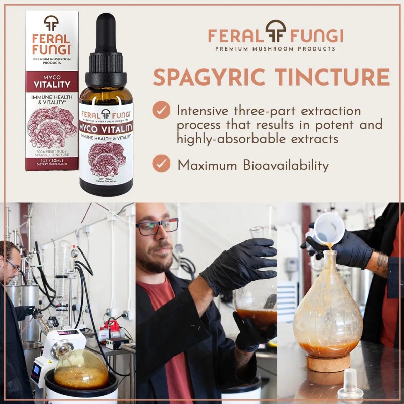 Feral Fungi Myco-vitality Extracto Triple Hongos 1oz