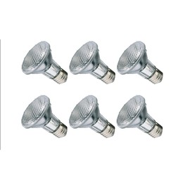 BEELITE 6-Pack Halogen PAR20 39 Watt (50W Replacement), Dimmable, 120 Volt, 40 Degree Flood, Light Bulb, 6 Pk
