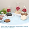 uxcell Glass Cloche Display Dome, 7.4" x 3.9" Glass Dome
