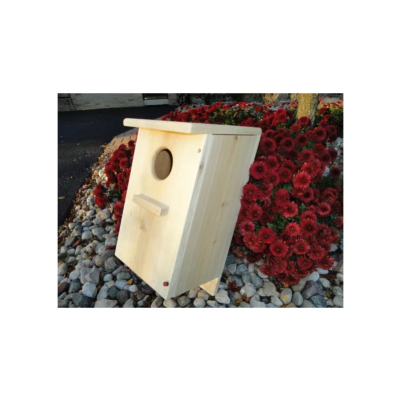 Gregg's Screech owl / Kestrel nest box (white cedar)