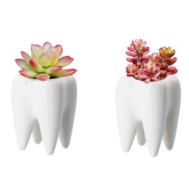 Spldsun 2 Pieces Ceramic Flower Pots with Teeth Fairy Planter Succulent Planter Window Boxes Creative Pen Holder for Home Office Desk Birthday Wedding