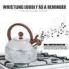 Whistling Kettle, Stainless Steel Kettle, 2.5 L Stainless Steel Whistling
