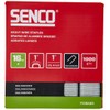 SENCO P13BABR 1" 16 Gauge 1" Crown Heavy Wire Staples,