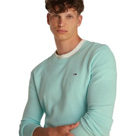 Tommy Jeans Men's Crew Neck Jumper, Green (Spring Mint), XXL